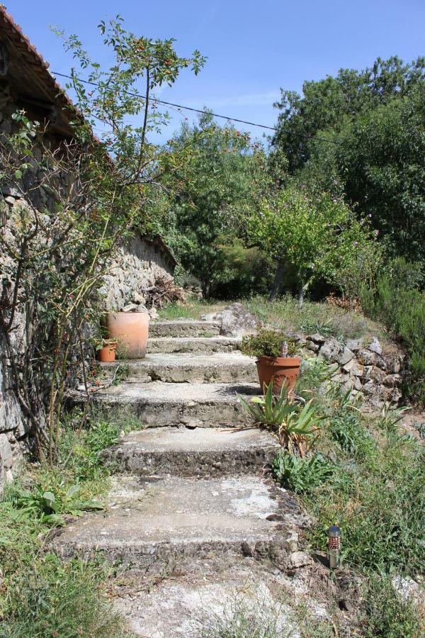 Les Gites Du Mazel Champis Ngoại thất bức ảnh